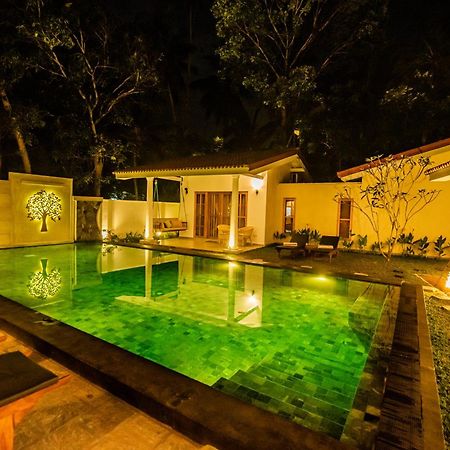 Tree Of Life Resort ベントータ エクステリア 写真